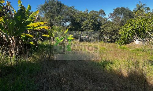 TERRENO 1.250 M²  NO ASFALTO - VARGEM GRANDE PAULISTA